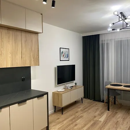 Park Slaski Olive Studio Appartement Katowice