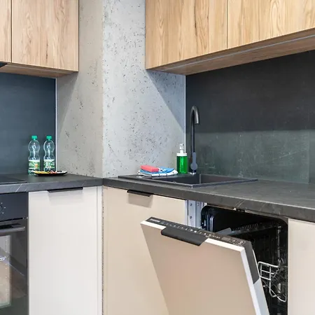 Park Slaski Olive Studio Appartement Katowice
